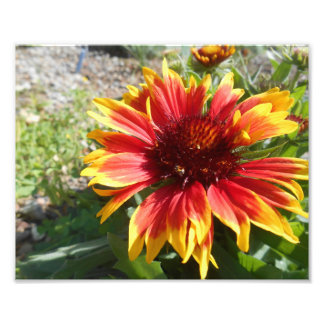 バースト明るい フォトプリント           