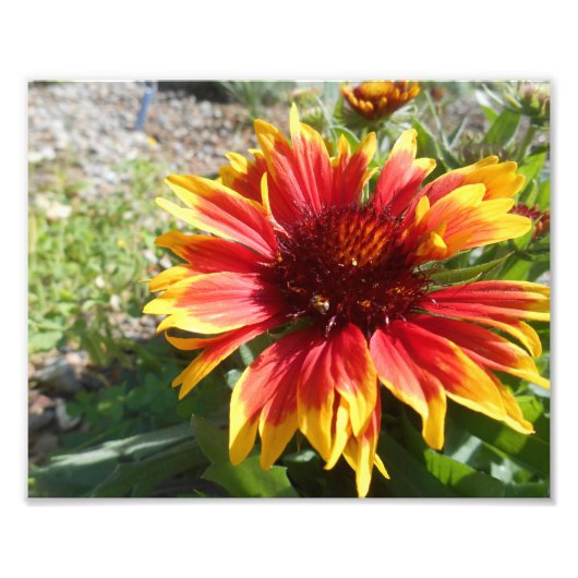 バースト明るい フォトプリント            (正面)