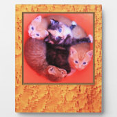 バーズアイメープル材木目模様写真枠 フォトプラーク (正面)