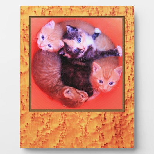 バーズアイメープル材木目模様写真枠 フォトプラーク (正面)