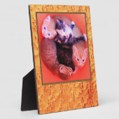 バーズアイメープル材木目模様写真枠 フォトプラーク (側面)