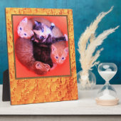 バーズアイメープル材木目模様写真枠 フォトプラーク (側面)