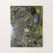 バーズオブニュージーランドパズル ジグソーパズル (縦)