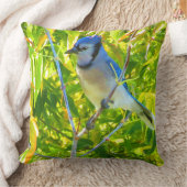 バーズカナダグースノーザンブルージェイカスタム2写真 クッション (ブランケット)
