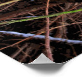 バーズシェルターCB ポスター (角)