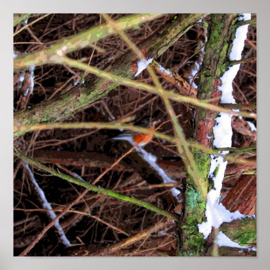 バーズシェルターCB ポスター (正面)