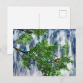 バーズネスト滝のポストカード ポストカード (正面/裏面)