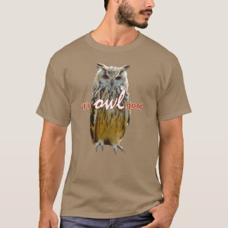 バーズフールズミームヴィンテージ Tシャツ