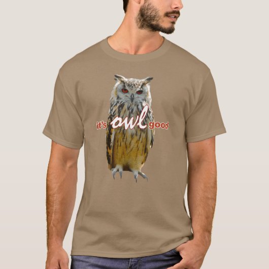 バーズフールズミームヴィンテージ Tシャツ (正面)