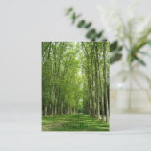 バーセイルズの木の庭のロマンチックな道フランス ポストカード (スタンド正面)