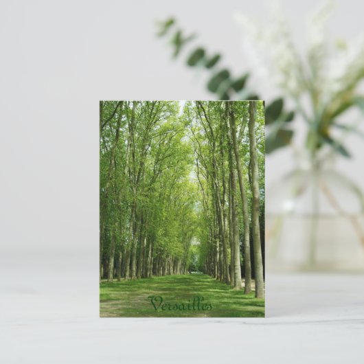 バーセイルズの木の庭のロマンチックな道フランス ポストカード (スタンド正面)
