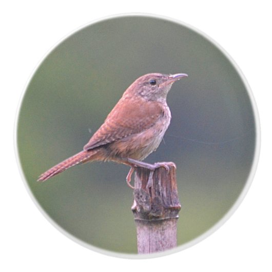 バーダイセラミックノブ セラミックノブ (正面)