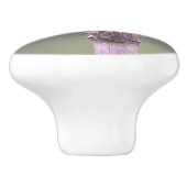 バーダイセラミックノブ セラミックノブ (側面)