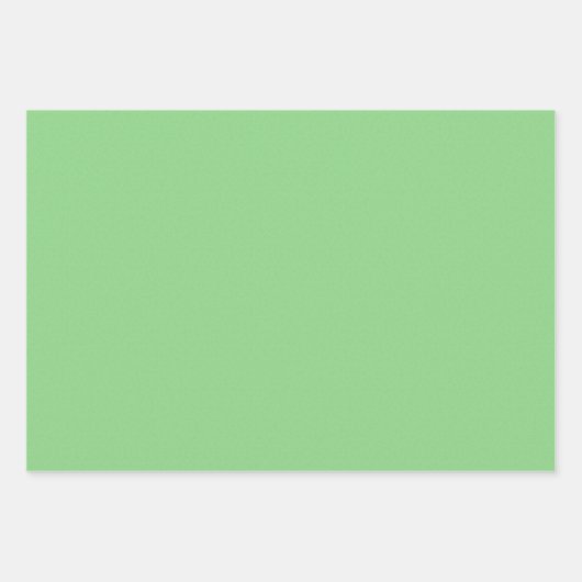 バーダントグリーンクラフト紙セットワン ラッピングペーパーシート (正面2)