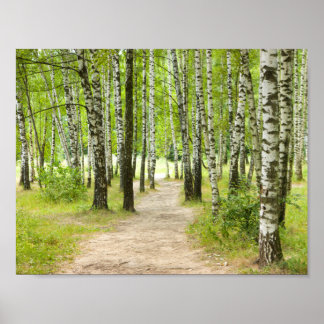 バーチウッド ポスター