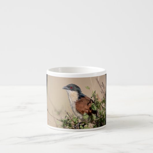 バーチェルのクーカル エスプレッソカップ (正面)