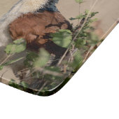 バーチェルのクーカル カッティングボード (角)