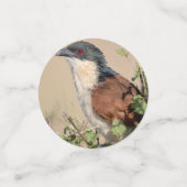 バーチェルのクーカル コンフェッティ (スモール正面)