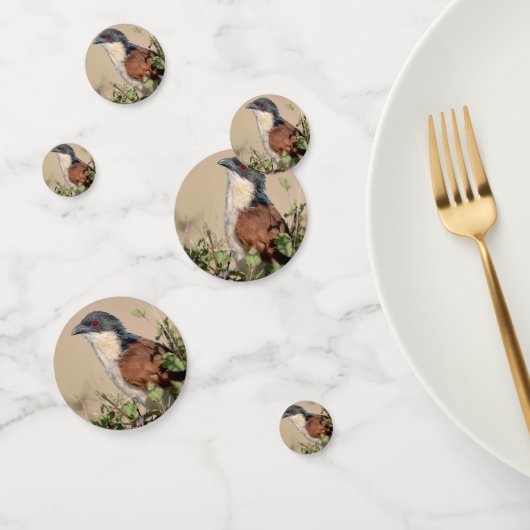 バーチェルのクーカル コンフェッティ (グループ)