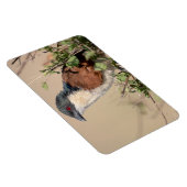 バーチェルのクーカル マグネット (右側)