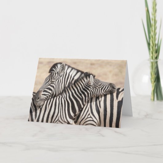 バーチェルズゼブラスネッキング カード (正面)