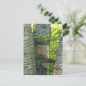 バーチツリー ポストカード (スタンド正面)