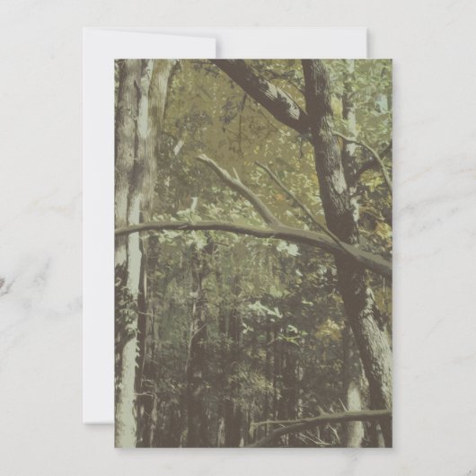 バーチャルジェンダーが迷彩柄鹿の社会的距離を明らかにする 招待状 (裏面)