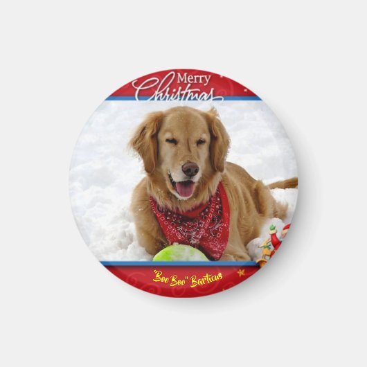 バーティカスのクリスマスマグネット マグネット (正面)