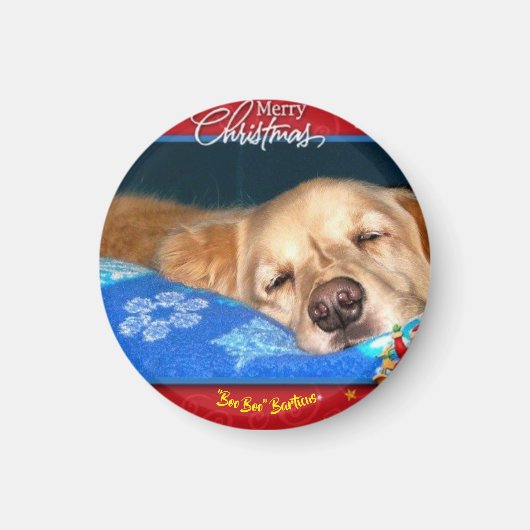 バーティカスのクリスマスマグネット マグネット (正面)