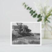 バーティーランチオンハットクリーク写真 ポストカード (スタンド正面)