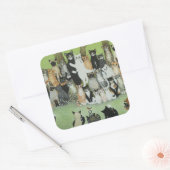 バーディを見る スクエアシール (封筒)