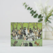 バーディを見る ポストカード (スタンド正面)