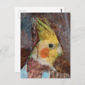 バーディー混合培地 ポストカード (正面/裏面)