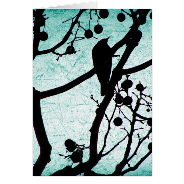 バーディ (正面)