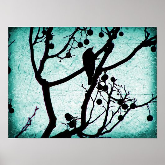 バーディ ポスター (正面)