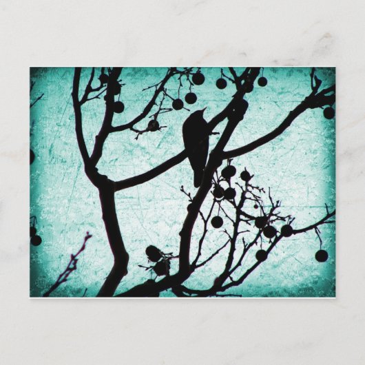 バーディ ポストカード (正面)