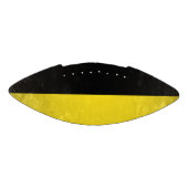 バーデンヴュルテンベルク アメリカンフットボール (パネル)