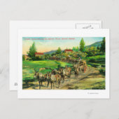 バートレット水を運搬する貨物チームのビュー ポストカード (正面/裏面)