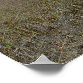 バートンアイランド自然保存跡 ポスター (角)