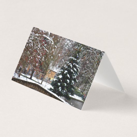 バートンオンザウォータークリスマスツリーコッツウォルズ (正面)