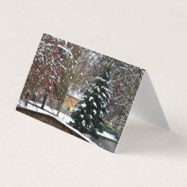 バートンオンザウォータークリスマスツリーコッツウォルズ