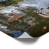 バートンクリークアットレディーバードレイク – オースティン,テキサス州 ポスター (角)