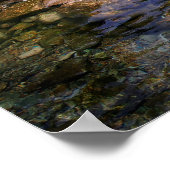 バートンクリークドッグスイミングホールオースティンテキサス州 ポスター (角)