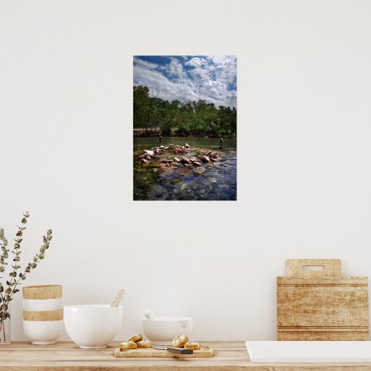 バートンクリークドッグスイミングホールオースティンテキサス州 ポスター (キッチン)