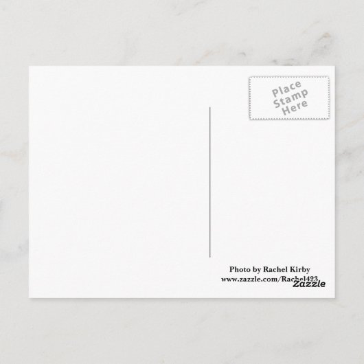 バートン湖はがき ポストカード (裏面)