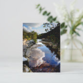 バートン・クリーク10 - オースティン テキサス ポストカード (スタンド正面)