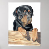 バート ポスター (正面)