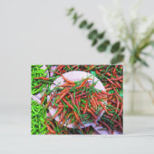 バードアイチリピーマン ポストカード (スタンド正面)