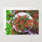 バードアイチリピーマン ポストカード (正面/裏面)