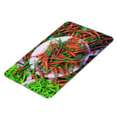 バードアイチリピーマン マグネット (左側)